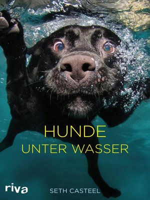 cover image of Hunde unter Wasser